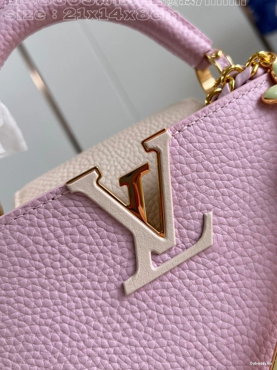 CAPUCINES LOUIS VUITTON MINI-21*14*8CM 1231